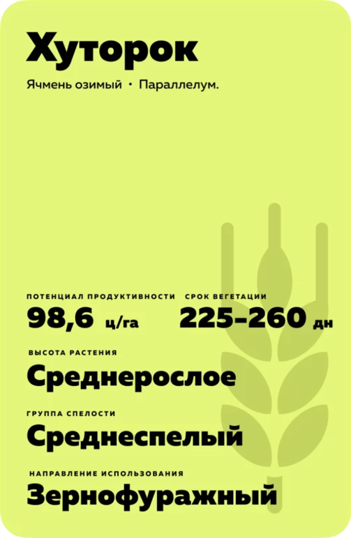 Хуторок сорт ячменя озимого