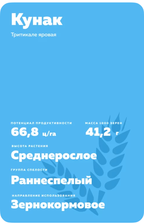 Кунак