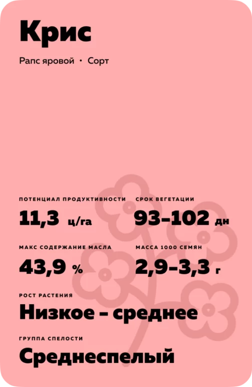 Крис