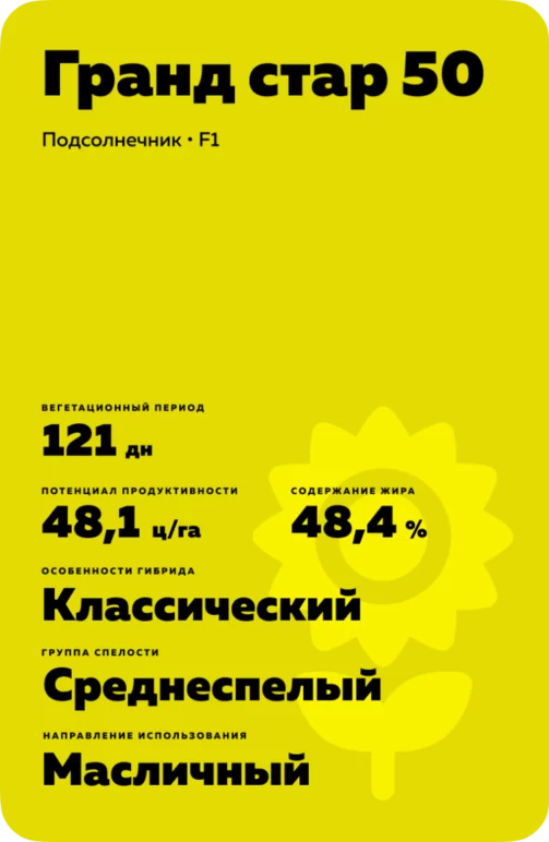 Гранд стар 50 подсолнечник