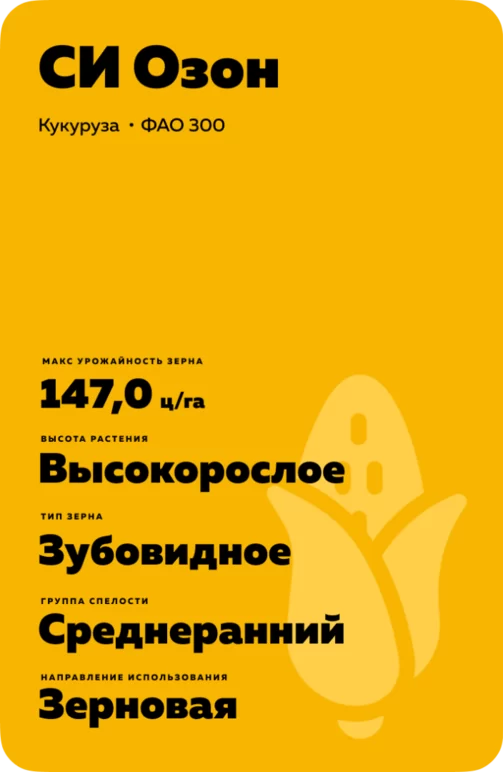 СИ Озон (SY OZONE)