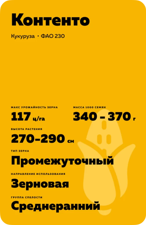 Контенто гибрид кукурузы