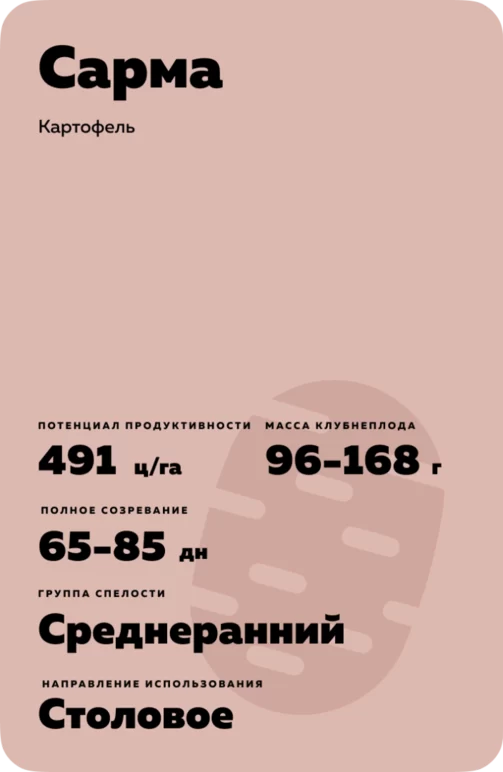 Сарма