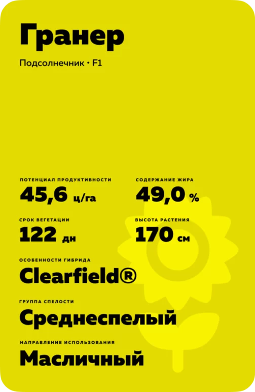 Гранер