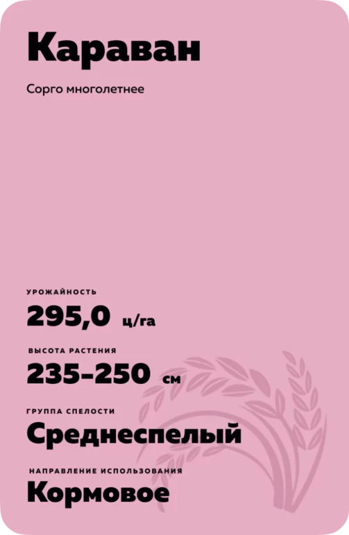 Караван