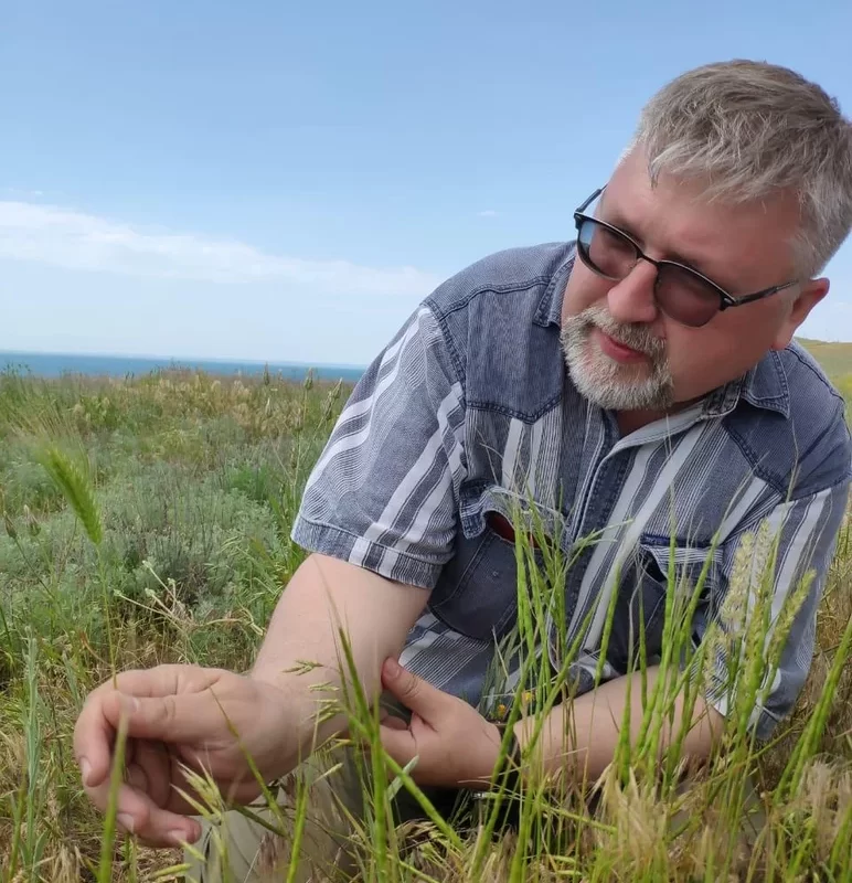 Исследование ризобиома диких пшениц в Краснодарском крае