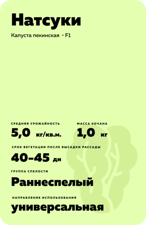 Натсуки  F1 (NATSUKI)