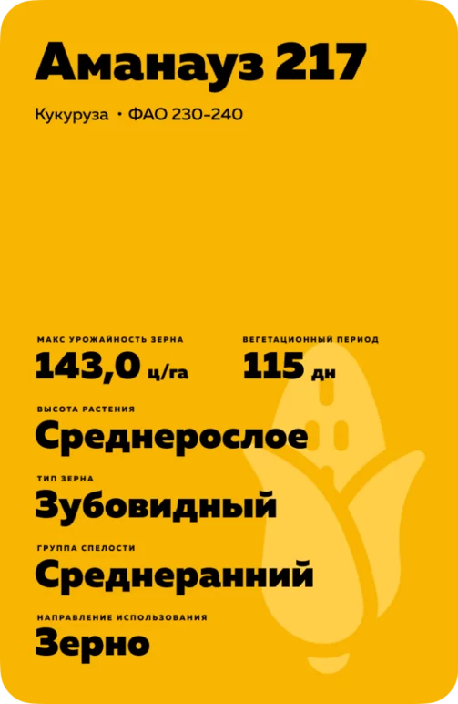 Аманауз 217 гибрид кукурузы