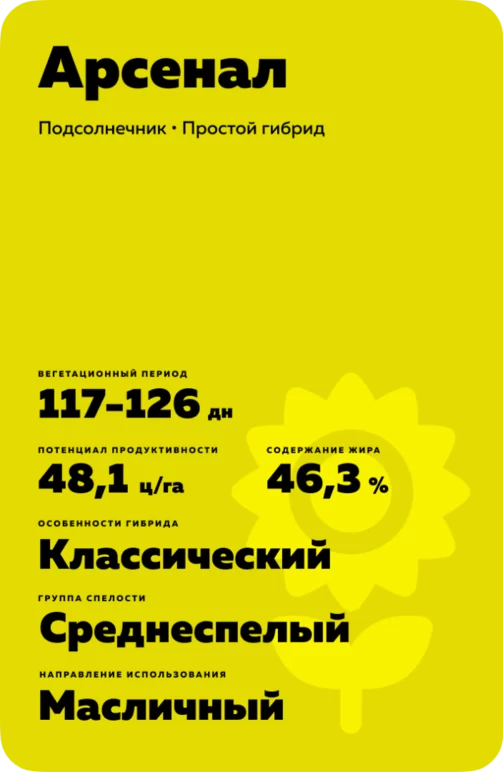 Арсенал