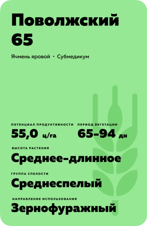 Поволжский 65