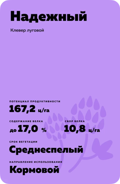 Надежный