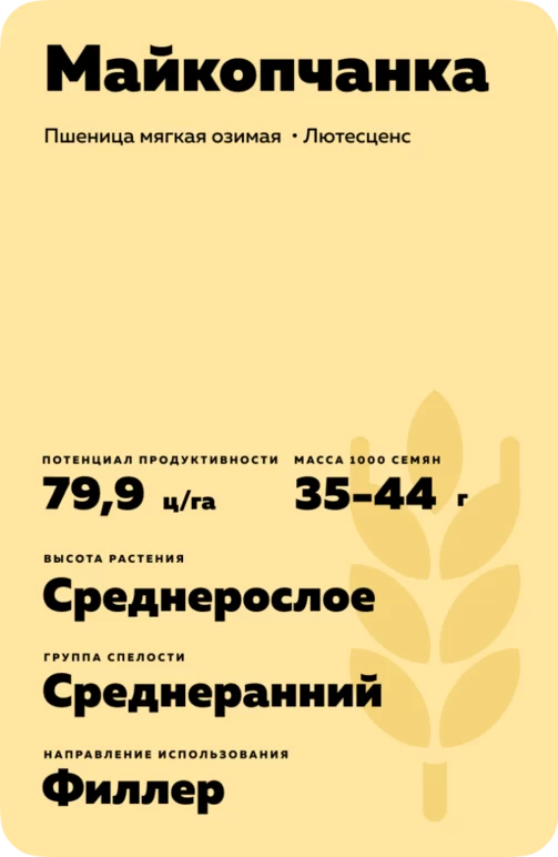 Майкопчанка