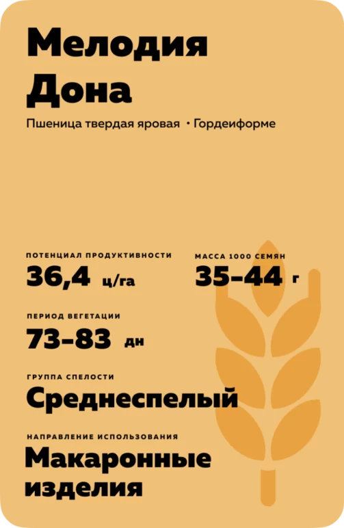 Мелодия Дона