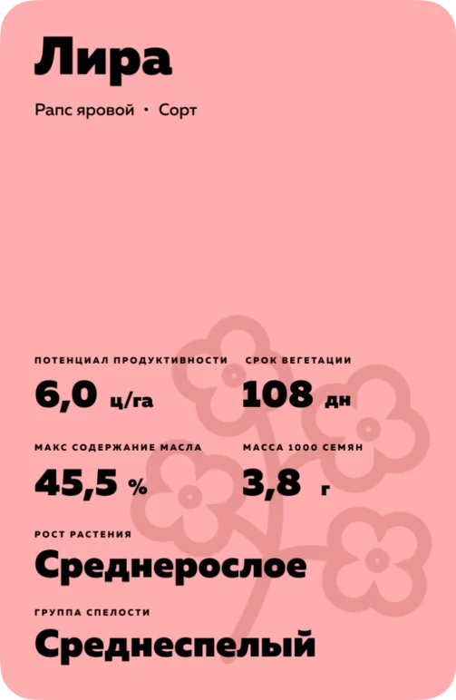 Лира