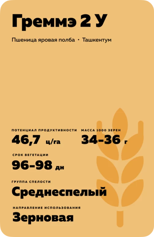 Греммэ 2 У
