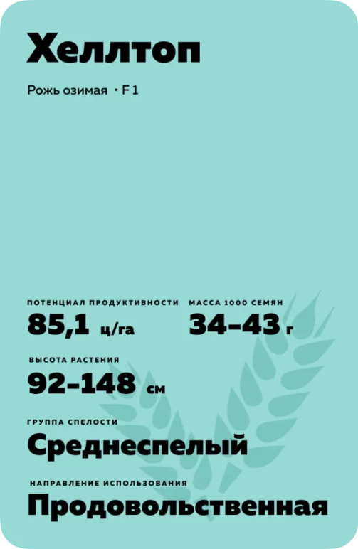 Хеллтоп (HELLTOP) рожь озимая