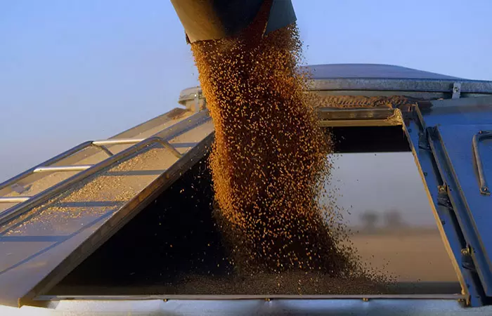 В составе крупнейших российских экспортеров зерна начались перемены