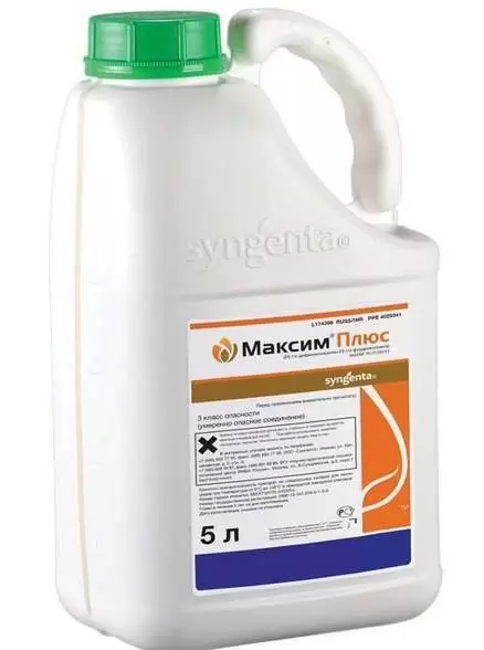 Максим Плюс, КС