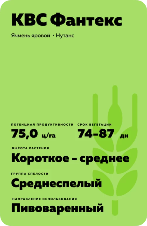 КВС Фантекс (KWS FANTEX) сорт ярового ячменя