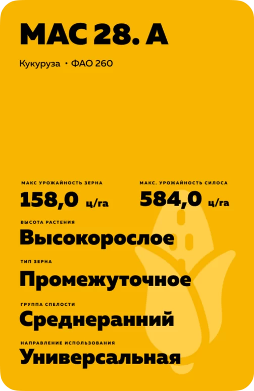 МАС 28. А (MAS 28.A)