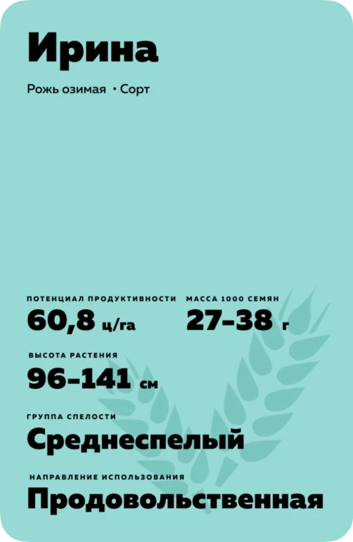 Ирина рожь озимая