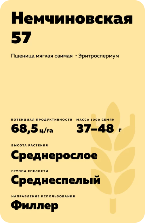 Немчиновская 57 ® сорт мягкой озимой пшеницы