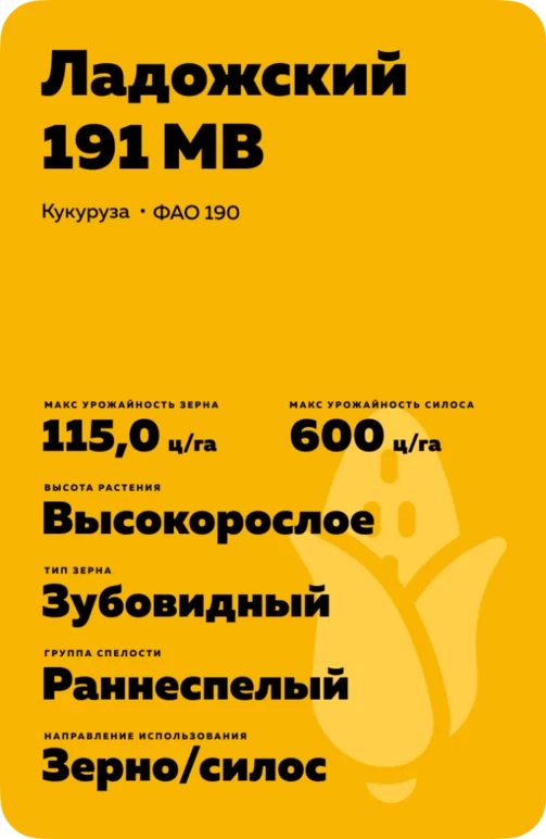 Ладожский 191 МВ гибрид кукурузы