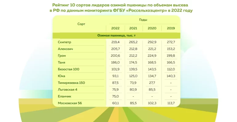 Топ 10 - лучших сортов озимой пшеницы за 2022 год