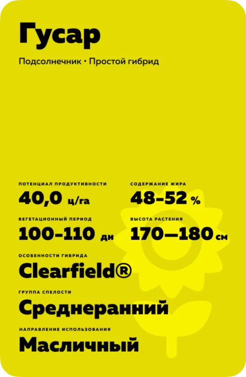 Гусар подсолнечник