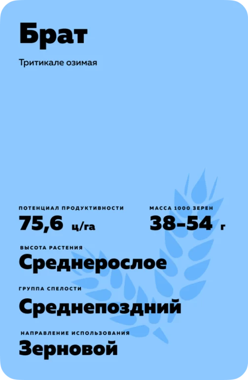 Брат