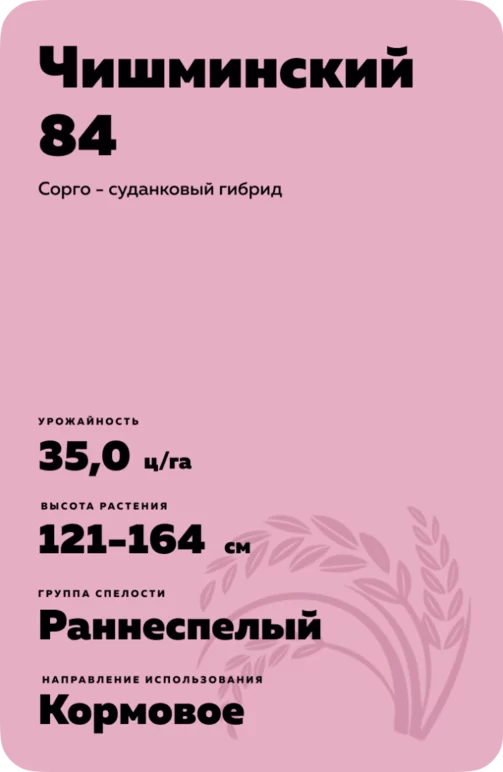 Чишминский 84