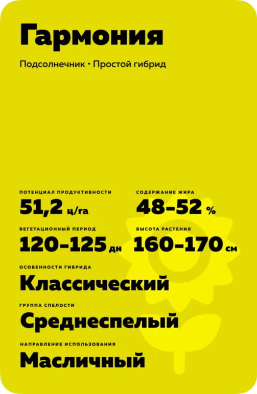 Гармония - гибрид подсолнечника (Helianthus annuus L.)