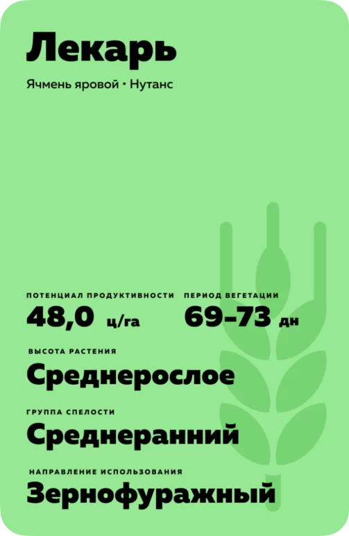 Лекарь сорт ярового ячменя