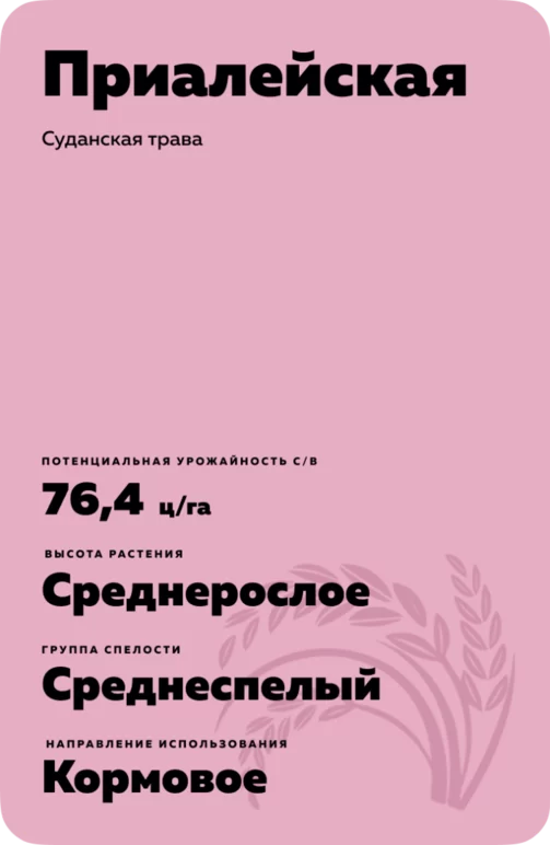 Приалейская