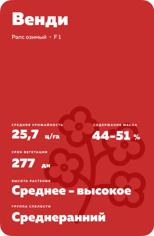 Венди (WENDIE) рапс озимый