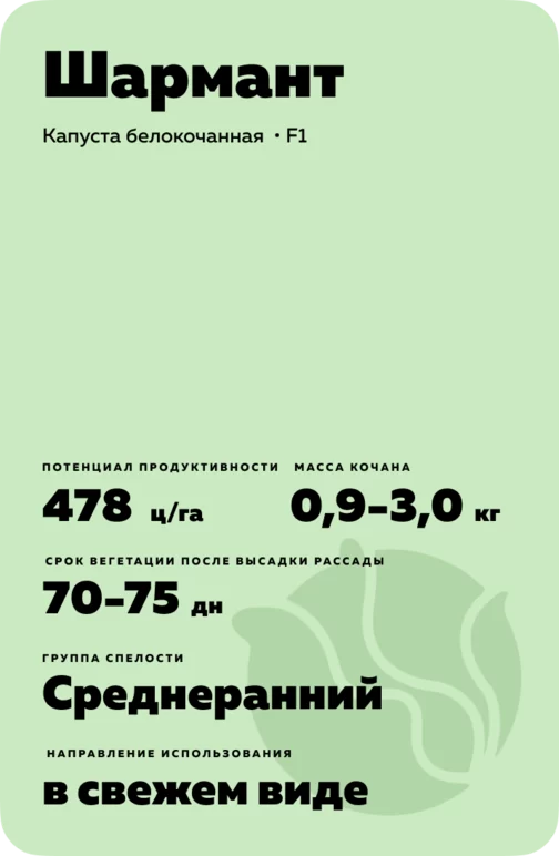 Шармант (CHARMANT) гибрид капусты белокочанной