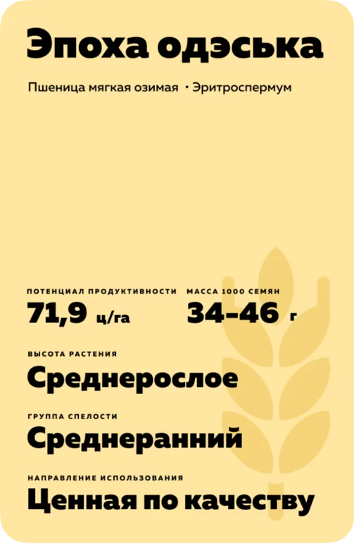 Эпоха одэська