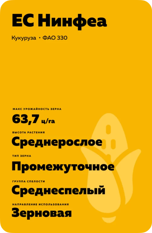 ЕС Нинфеа