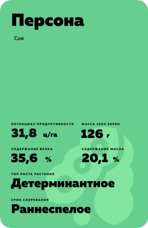 Персона - соя. Характеристики и отзывы