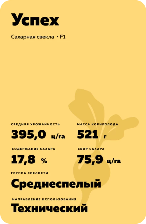 Успех гибрид сахарной свеклы