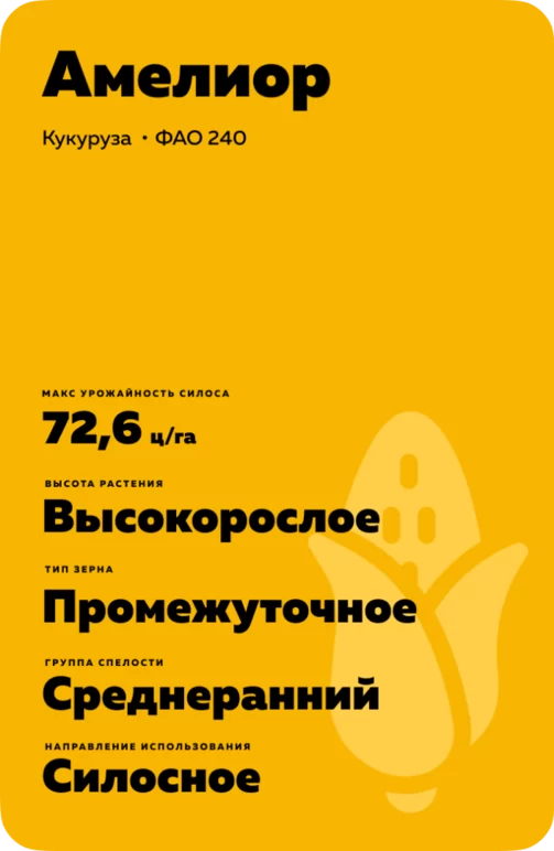 Амелиор