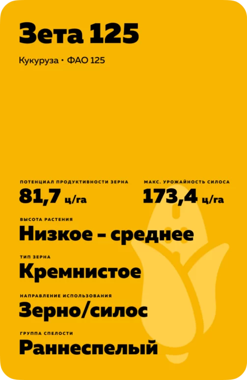 Зета 125 гибрид кукурузы