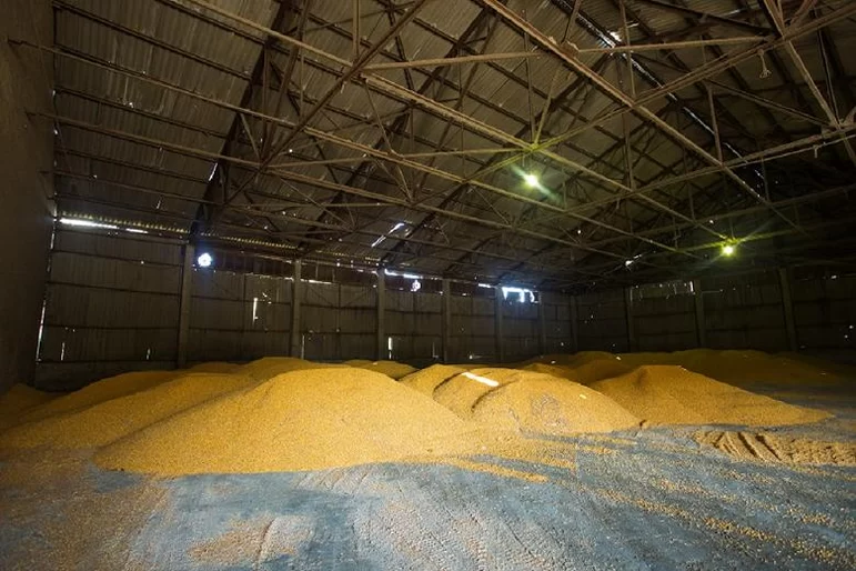 НТБ с 18 июля начнет аккредитацию участников торгов для закупок зерна и сахара
