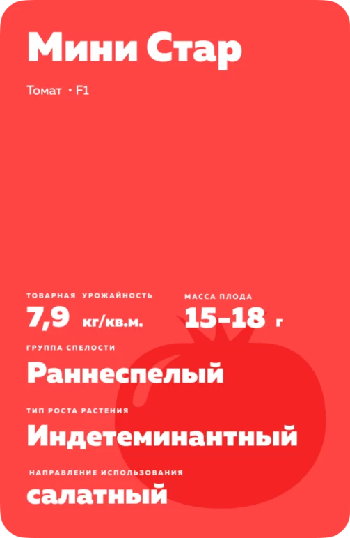 Мини Стар F1 (MINI STAR)