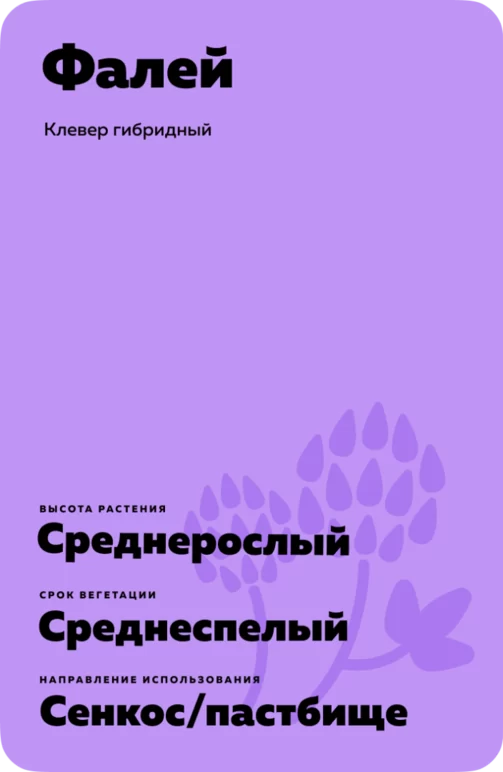 Фалей