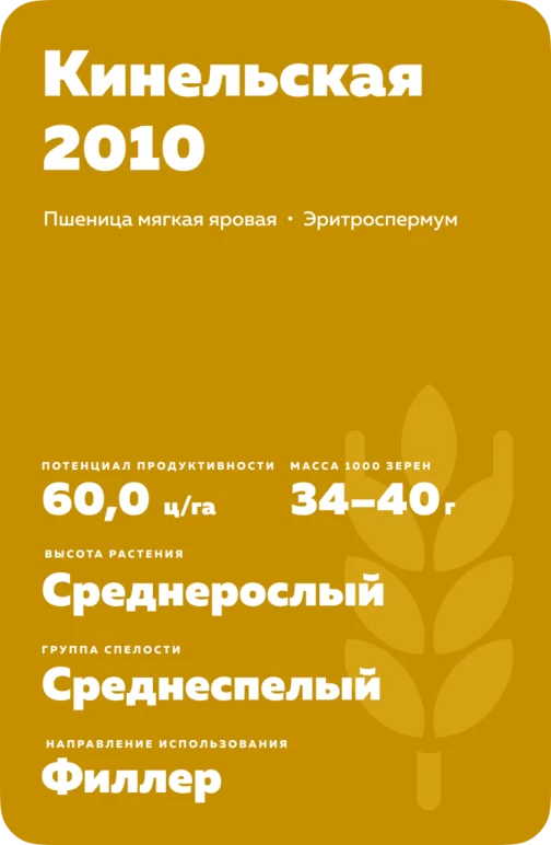 Кинельская 2010 сорт мягкой яровой пшеницы