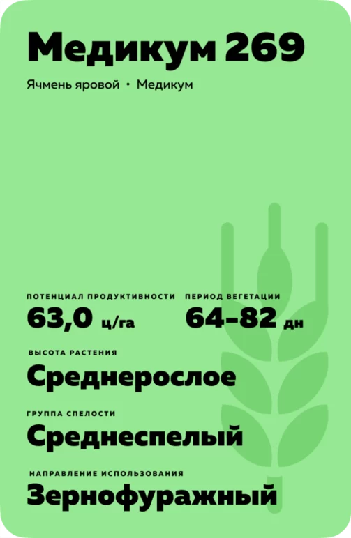 Медикум 269 сорт ячменя ярового