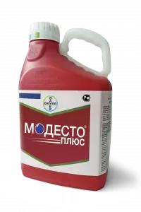 Модесто Плюс, КС