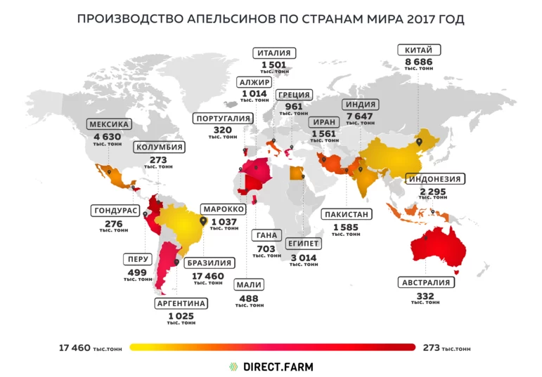 Производство апельсинов по странам мира 2017 год