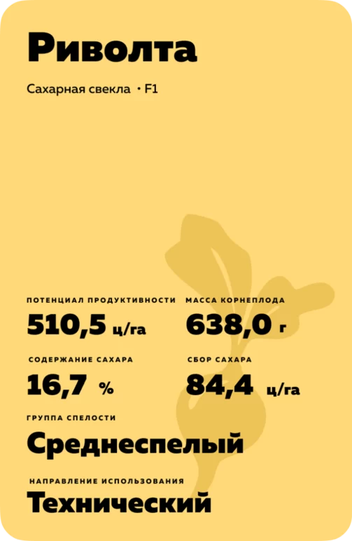 Риволта